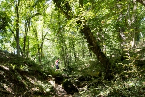26r07-145